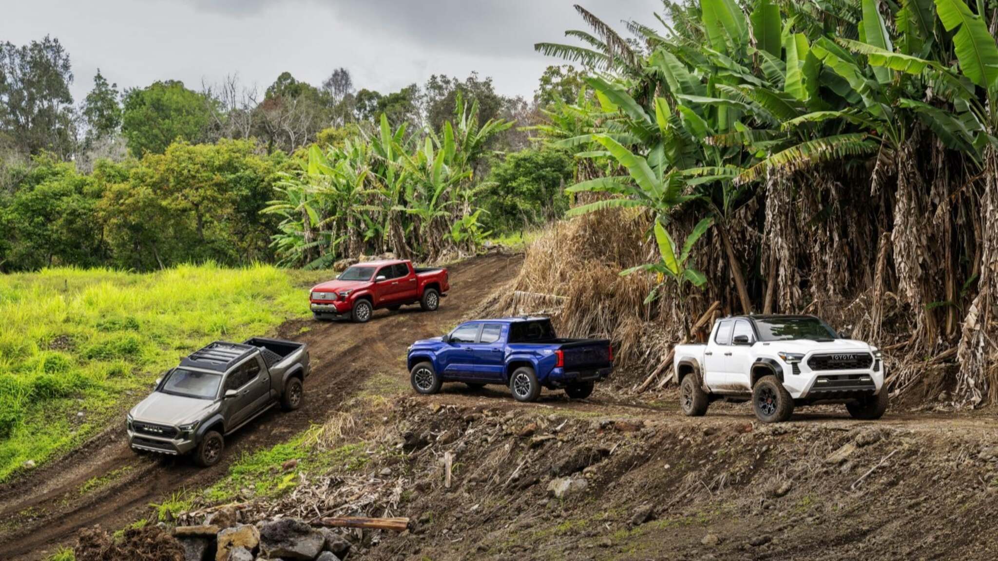 Le toyota tacoma 2024 fait le show à hawaï !