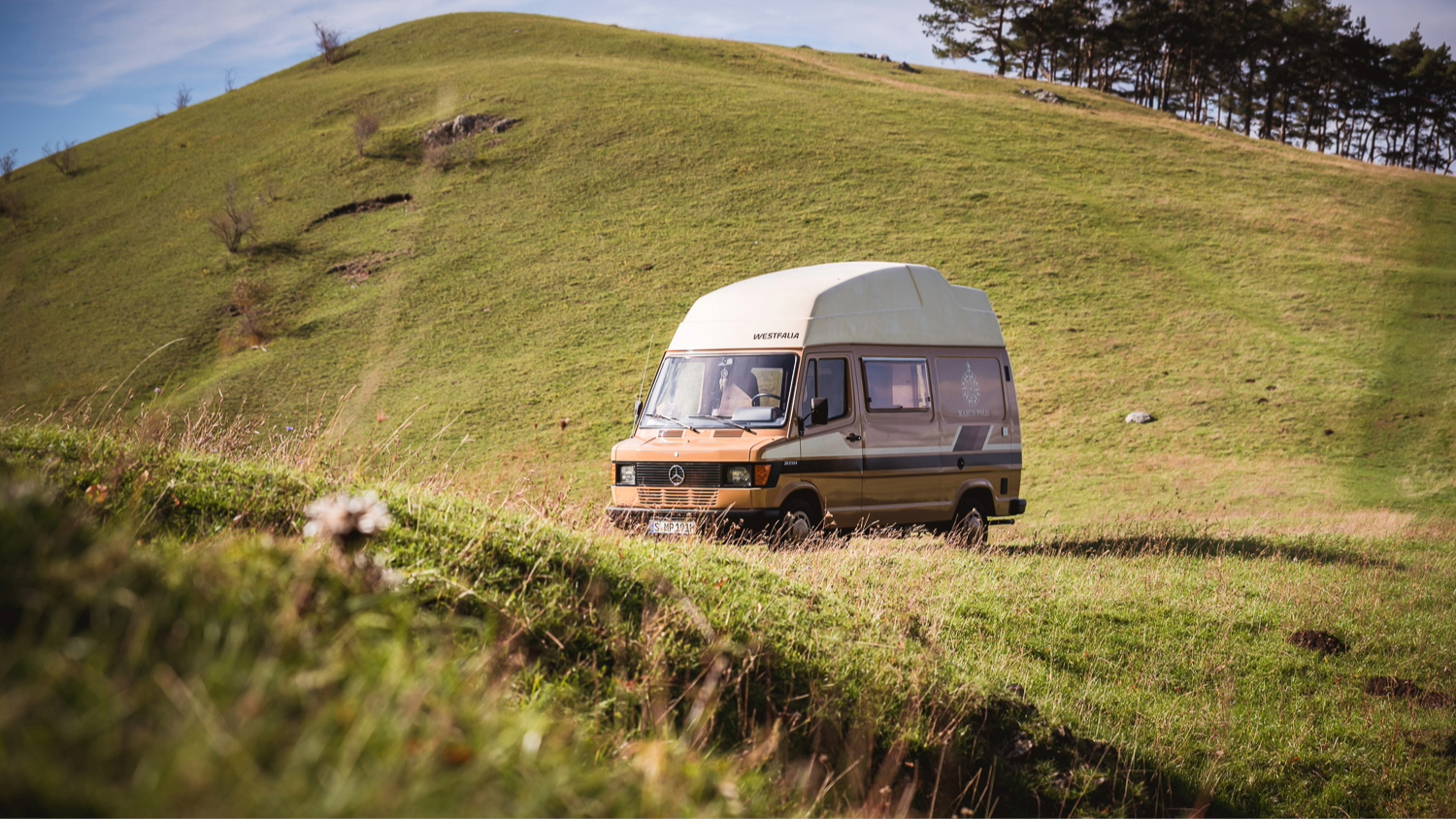 Saga marco polo : 40 ans de « van life » mercedes!