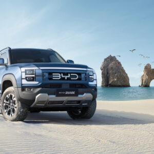 Byd-shark-pick-up